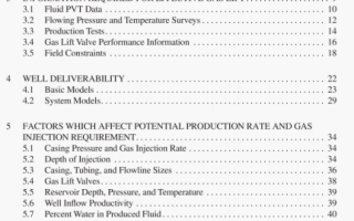 API RP 11V8:2003 pdf download